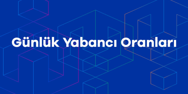 Günlük Yabancı Oranları 12/11/2021