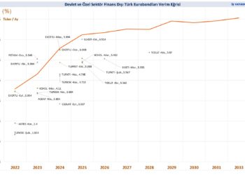 Özel sektör ve devlet tahvillerinde cazip USD faizleri