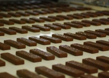 BIST’de sene boyunca enflasyon üzeri getiri sağlamış, kasasında döviz olan gıda şirketleri ve F/K oranları