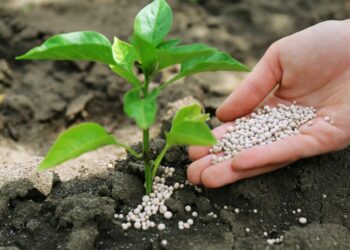 BIST’de gübre sektörü ve öne çıkanlar