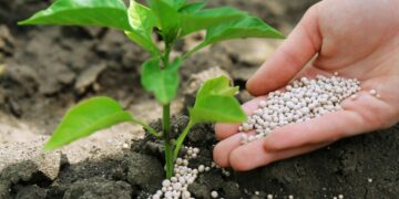 BIST’de gübre sektörü ve öne çıkanlar