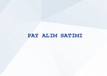 Pay Alım Satım Bildirimleri 14/11/2022