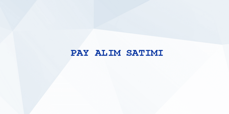 Pay Alım Satım Bildirimleri 14/11/2022