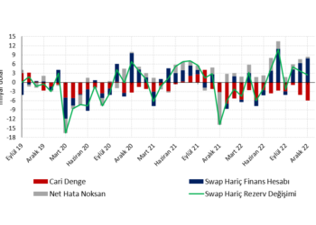 Cari dengede korkutucu bozulma