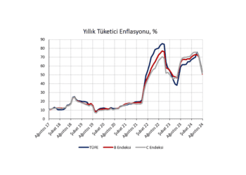 Ağustos 2024 TÜFE: İyi veriler sonbaharda…