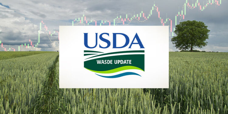Market Update – WASDE Raporu Özeti