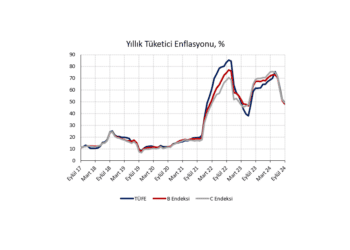 Eylül 2024 TÜFE: Dezenflasyon sürecinde oynak seyir