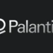Bir Şirketin Anatomisi: Palantir Technologies