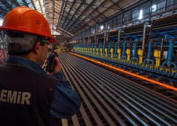 KRDMD.IS: 3Ç24 Kar Tahmini