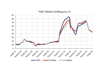 Aralık 2024 TÜFE: Yeni yıla pozitif enflasyon sürpriziyle giriyoruz