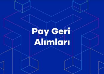 Pay Geri Alımları 10/01/2025