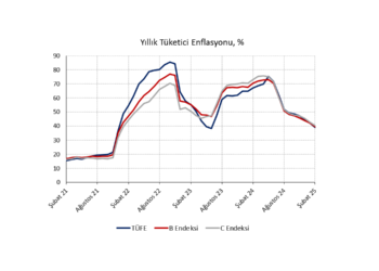 Şubat 2025 TÜFE: Dezenflasyon süreci devam ediyor