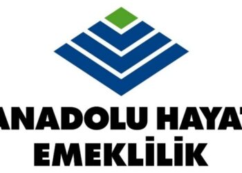 ANHYT.IS: 1Ç25 Kar Tahmini