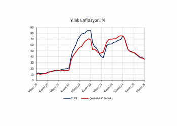 Mayıs 2025 TÜFE: Enflasyon cephesinden iyi haberler alıyoruz