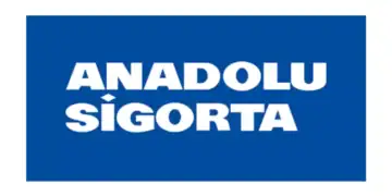 ANSGR.IS: 2Ç25 Kar Tahmini