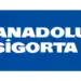 ANSGR.IS: 2Ç25 Kar Tahmini