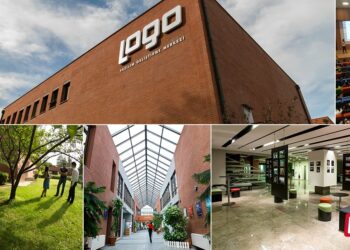 Şirket Raporu: LOGO Yazılım-LOGO.IS: 2. Çeyrek Sonuçları