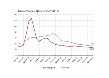 Ağustos 2025 TÜFE: Gıda manşet enflasyonu yukarı çekerken ana eğilimde katılık görülüyor