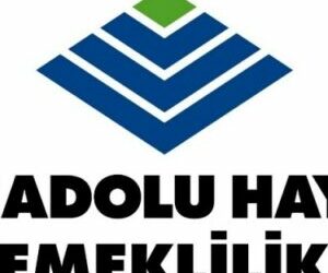 Anadolu Hayat ve Emeklilik (ANHYT.IS): 3Ç25 Kar Analizi