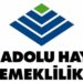 Anadolu Hayat ve Emeklilik (ANHYT.IS): 3Ç25 Kar Analizi
