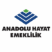 Anadolu Hayat ve Emeklilik (ANHYT.IS): 4Ç25 Kar Analizi