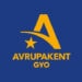 Şirket Raporu: Avrupakent GYO-AVPGY.IS: 2Ç26 Sonuçları